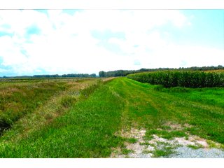 Property photo 10 - LAND AUCTION - 314+/- ACRES OFFERED IN 4 TRACTS IN WHITE COUNTY, INDIANA